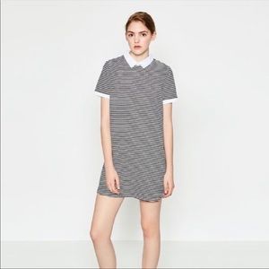 Zara | Striped Poplin Collar Shift Dress Small